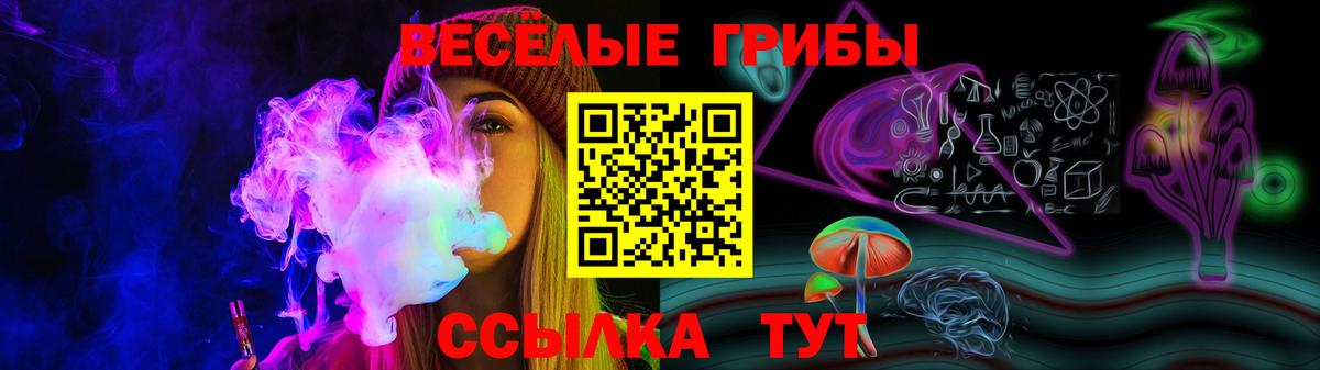 наркота  Вход с VPN  Усть-Илимск  Галлюциногенные грибы Psilocybine cubensis 